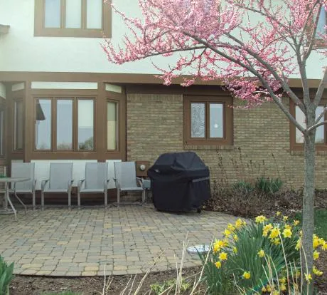 1772114916-DSC00246 (2).webp